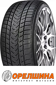 315/30 R22  107V  Gripmax  SureGrip Pro Winter 